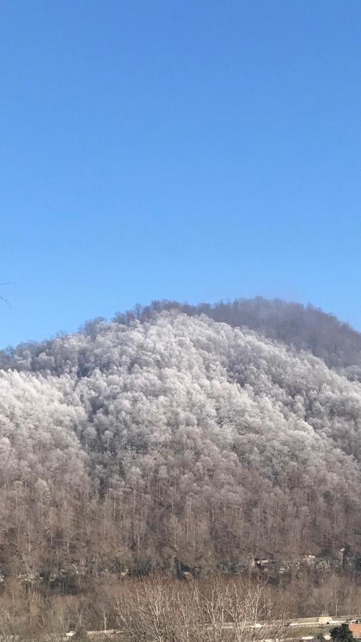 Pine Mountain Inn Pineville Εξωτερικό φωτογραφία