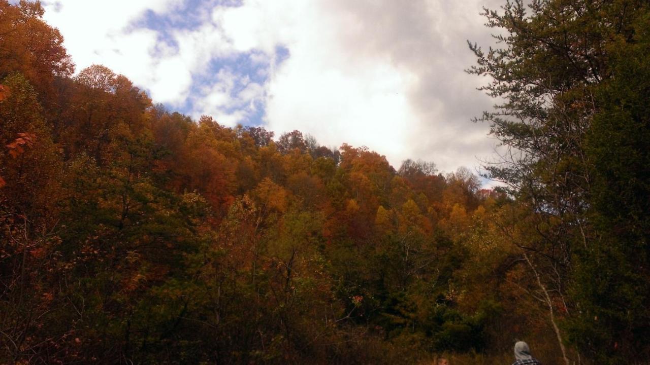 Pine Mountain Inn Pineville Εξωτερικό φωτογραφία