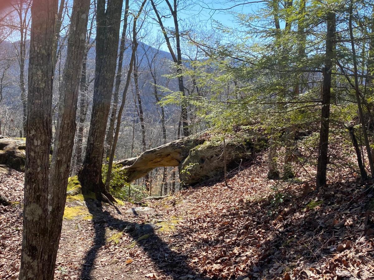 Pine Mountain Inn Pineville Εξωτερικό φωτογραφία